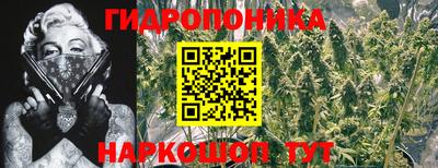 гидропоника Нальчик