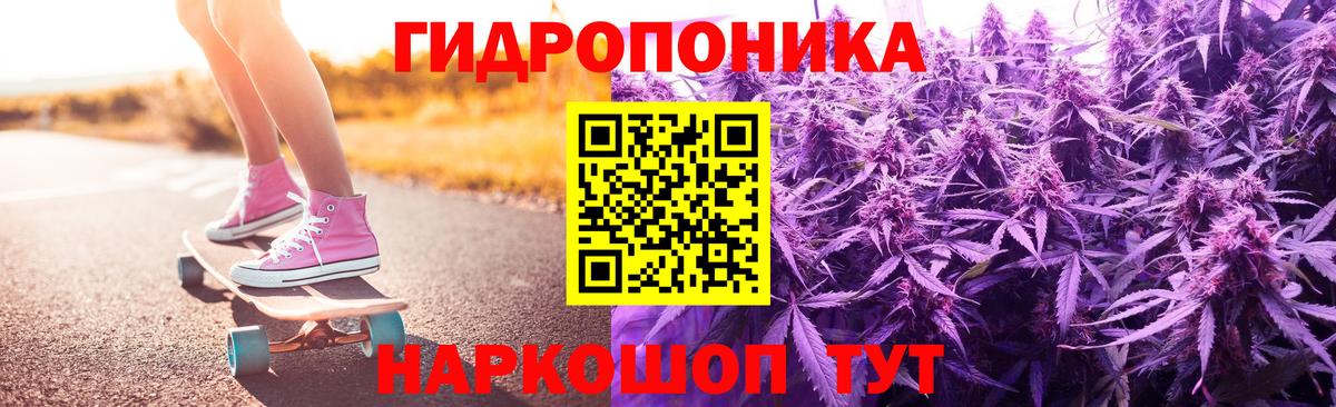Конопля Amnesia  Бошки Шишки SATIVA & INDICA  Торжок  МАРИХУАНА THC 21%  Вход с VPN 